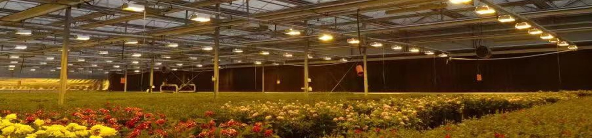Plant Lighting Measurement Systems