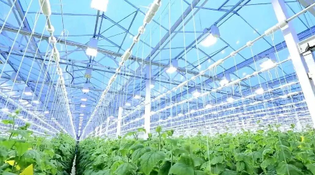 又是一年丰收季丨用科学之光照亮现代农业